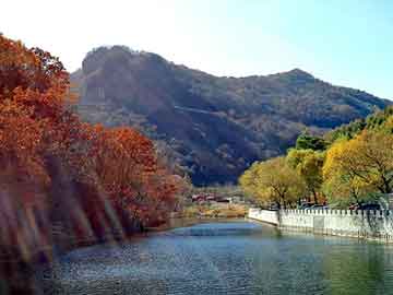 管家婆黑白马报图库，恐怖太平间